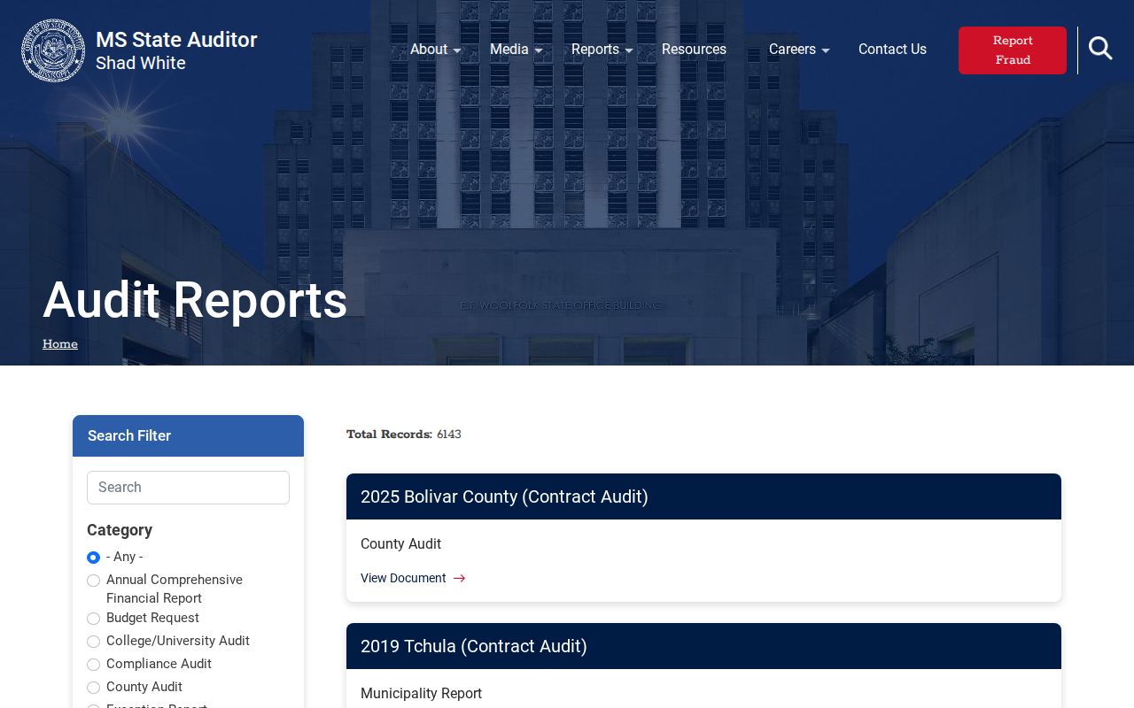 Montgomery County case search research source at the Mississippi audit-report search page